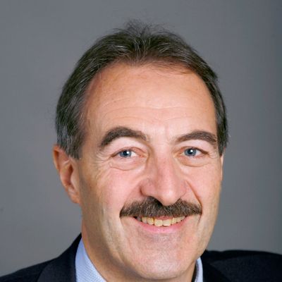 Fabio Pedrina — Versiun 1